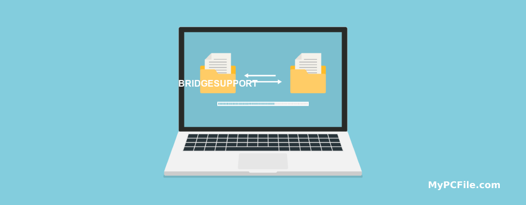 BRIDGESUPPORT File Converter