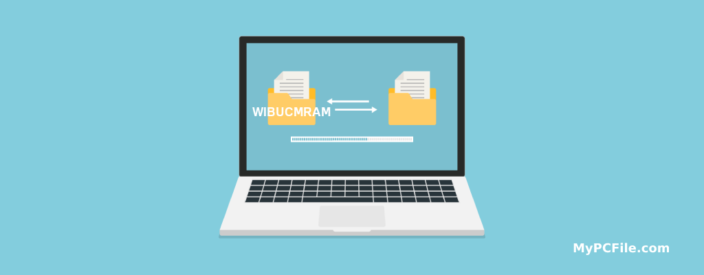 WIBUCMRAM File Converter