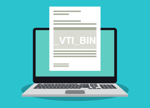 _VTI_BIN File Opener