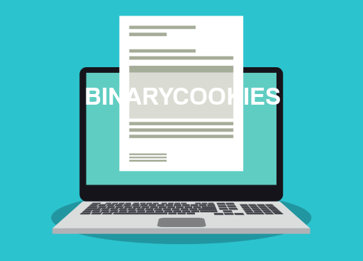 BINARYCOOKIES File Opener