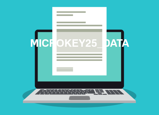 MICROKEY25_DATA File Opener