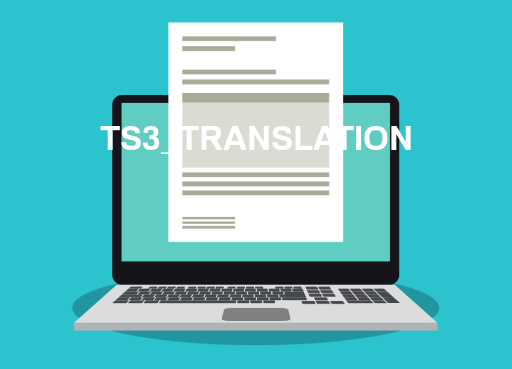 TS3_TRANSLATION File Opener