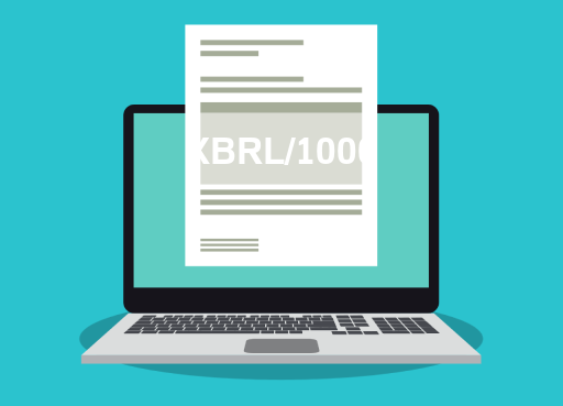 XBRL/1000 File Opener