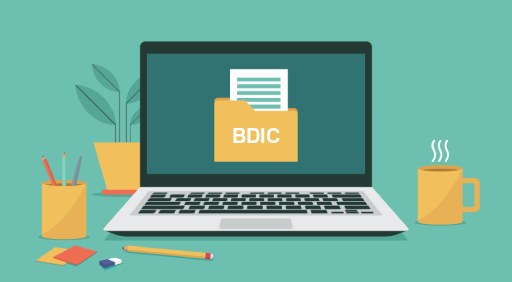 BDIC File Viewer