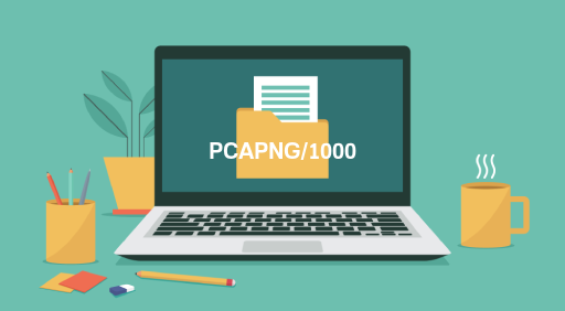 PCAPNG/1000 File Viewer