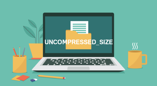 UNCOMPRESSED_SIZE File Viewer